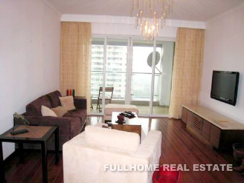 Central Park - Interior view 3, Shanghai rental property