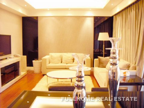 Lakeville Regency - Interior view 2, Shanghai rental property