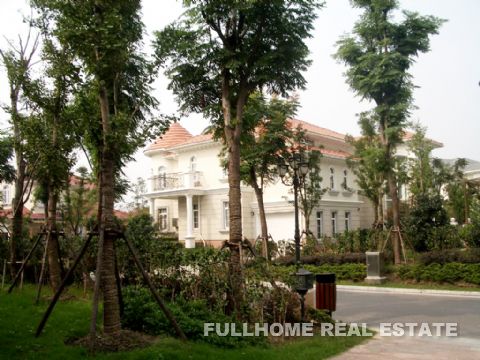 Dahao Mountain Forest Villa - Interior view 6, Shanghai rental property