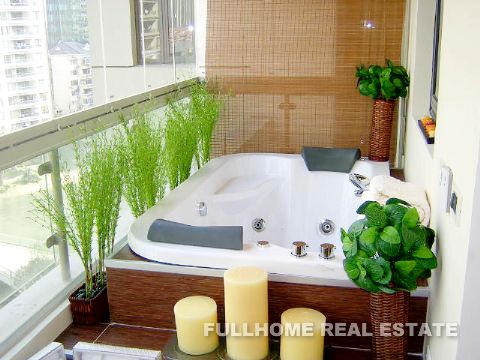 Top Of City - Interior view 8, Shanghai rental property