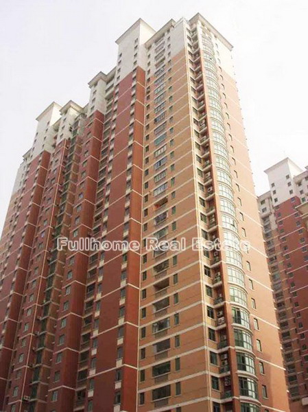 St. Johnson - 3 bedroom apartment in Shanghai, Zhongshan Park, Downtown
