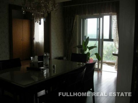 Jin Ji Lake Garden - Interior view 2, Suzhou rental property