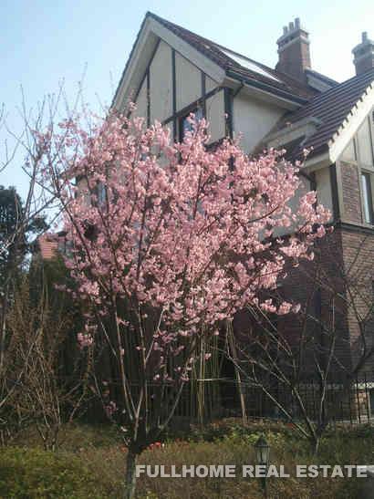 England Villa - Interior view 12, Suzhou rental property