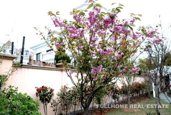 Xijiao Da Gong Guan - Interior view 10, Shanghai rental property