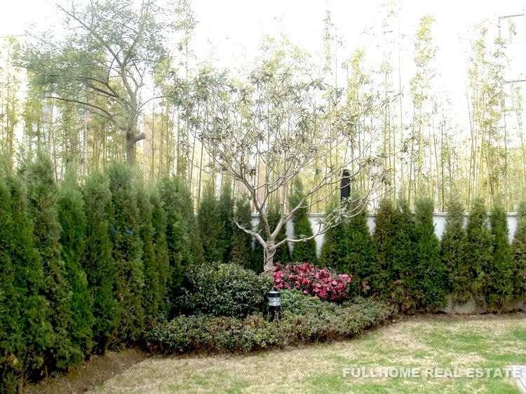 Westwood Green - Interior view 12, Shanghai rental property