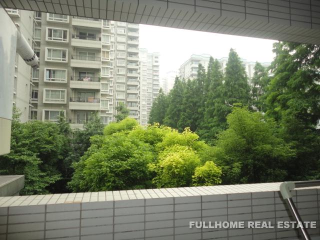 City Castle - Interior view 6, Shanghai rental property