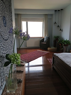 Maoming Mansion - Interior view 14, Shanghai rental property