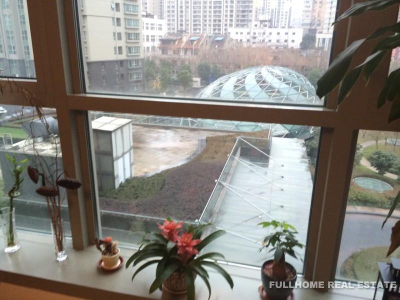 8 Park Avenue - Interior view 10, Shanghai rental property