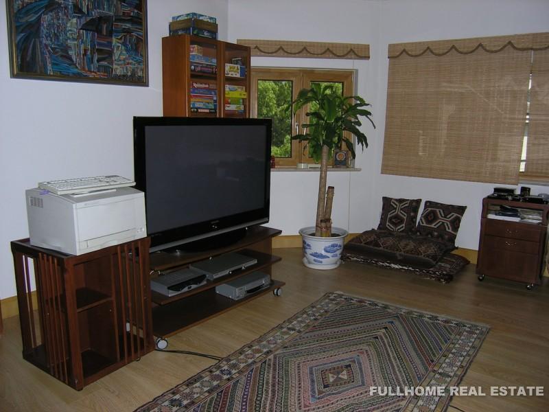 Violet Country Villa - Interior view 2, Shanghai rental property