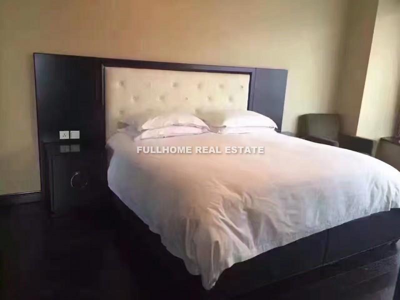 Top Of City - Interior view 6, Shanghai rental property
