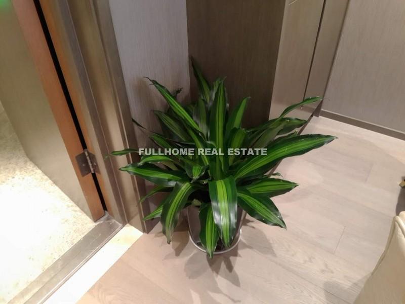 Hong Leong City Center - Interior view 5, Suzhou rental property