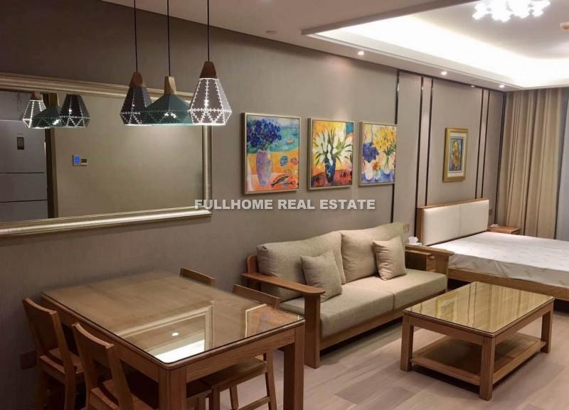 Hong Leong City Center - 1 bedroom apartment in Suzhou, Industrial Park