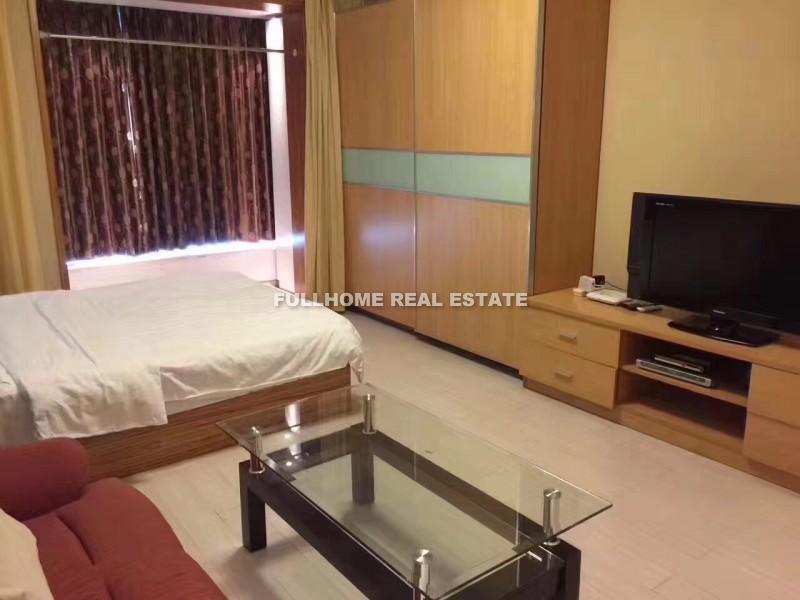 Regents Park - Interior view 2, Shanghai rental property