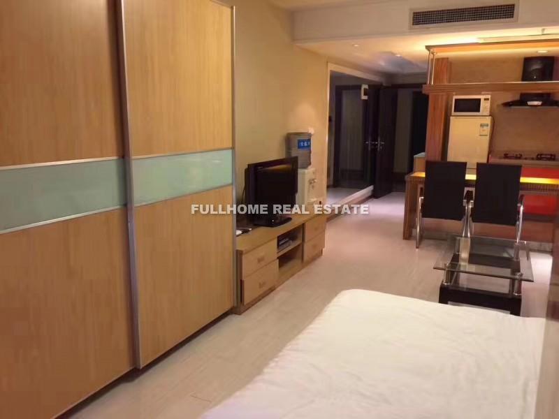 Regents Park - Interior view 3, Shanghai rental property