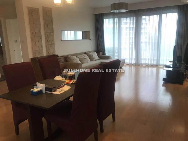 Central Palace - 4 bedroom apartment in Shanghai, Century Park and Lianyang, Pudong