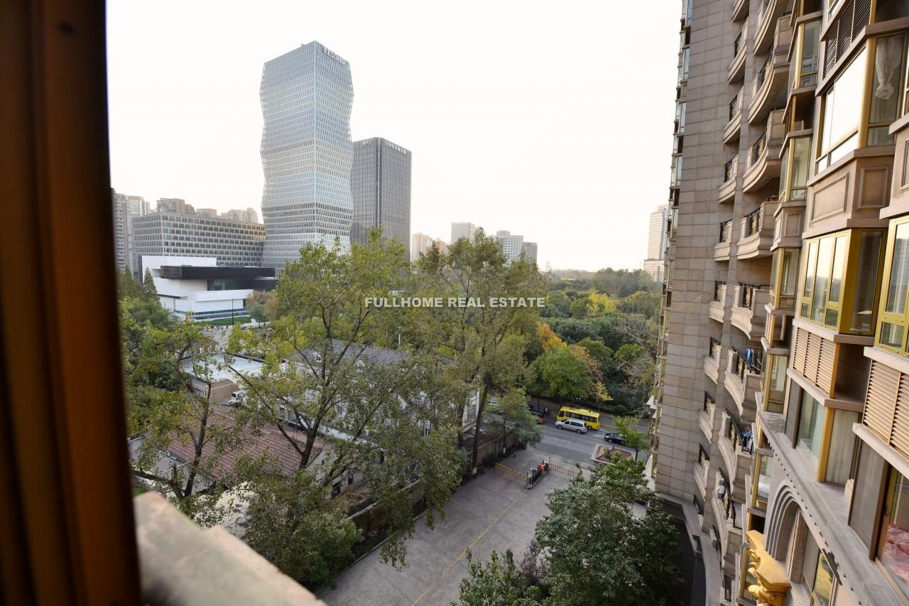 Shanghai Park Avenue - Interior view 6, Shanghai rental property