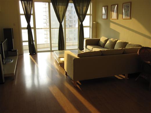 Summit Panorama - 3 bedroom apartment in Shanghai, Lujiazui, Pudong