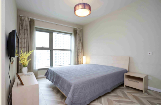 8 Park Avenue - Interior view 6, Shanghai rental property