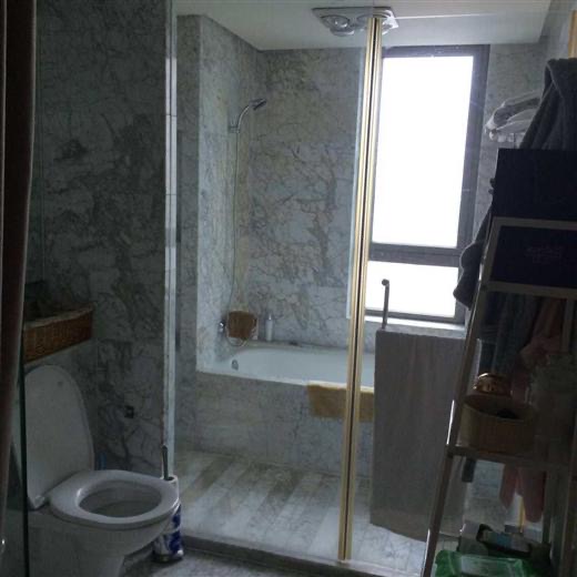Jing An Four Seasons - Interior view 5, Shanghai rental property