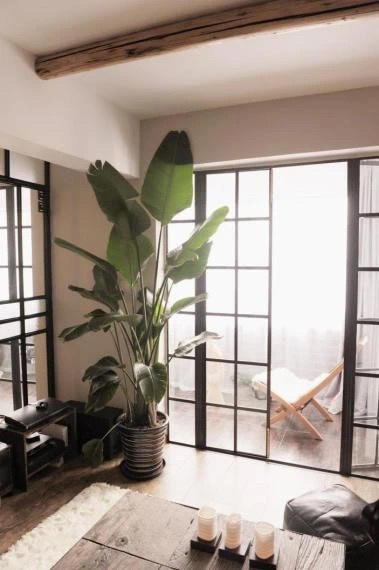 Lane 200-500 South Xiang Yang Road Old House - Interior view 7, Shanghai rental property
