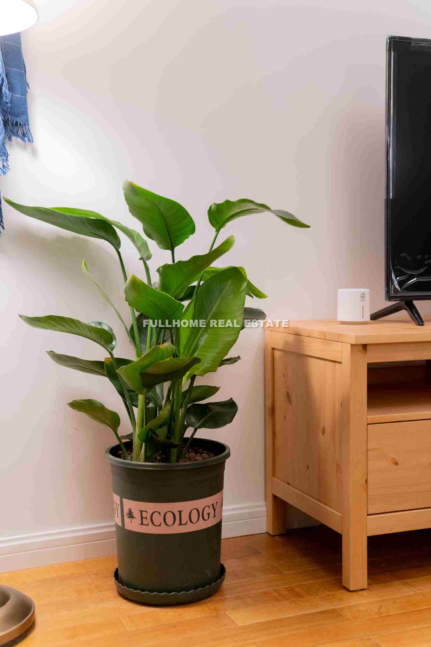 Da Pu Apartment - Interior view 7, Shanghai rental property