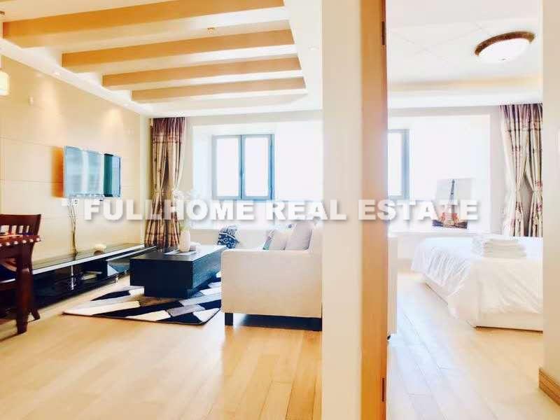 ASE Count Apartment House - Interior view 6, Shanghai rental property