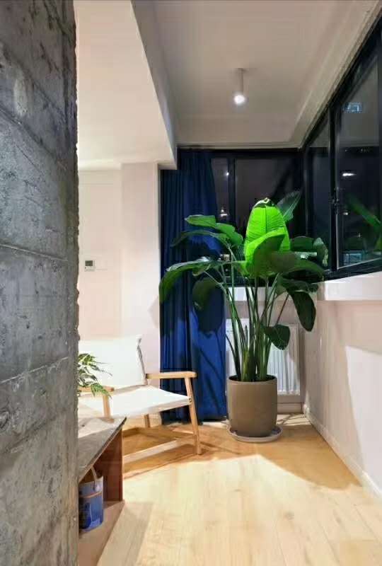 Xinan Apartment - Interior view 6, Shanghai rental property