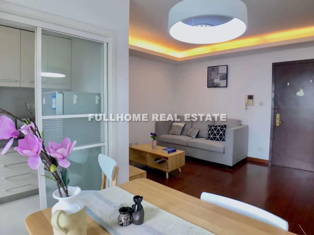 Shanghai Beach Xingchangcheng - 1 bedroom apartment in Shanghai, People Square, Downtown