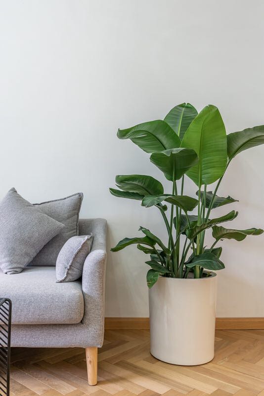 Lane 1-1000 West Huaihai Road House - Interior view 5, Shanghai rental property