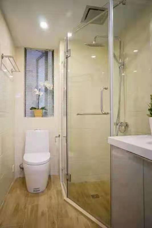 Chrysanthemum Park - Interior view 4, Shanghai rental property