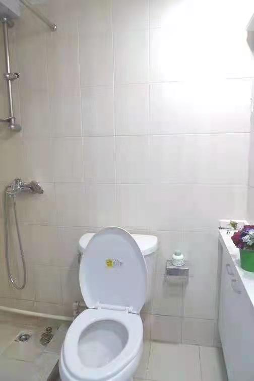 Century Gate - Interior view 5, Shanghai rental property