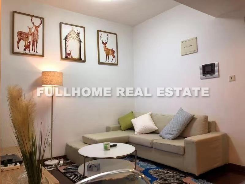 Top Of City - 1 bedroom apartment in Shanghai, People Square, Downtown