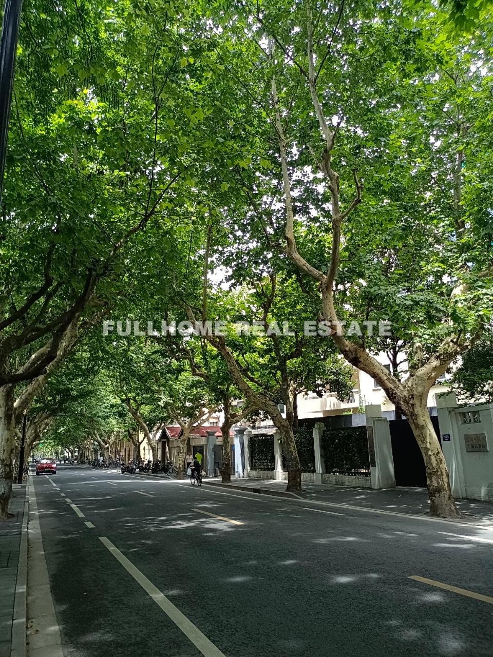 Lane 1-350 Hunan Road Old House - Interior view 9, Shanghai rental property