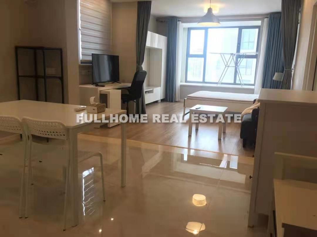 West Nanjing Mansion - 1 bedroom apartment in Shanghai, Downtown, Downtown