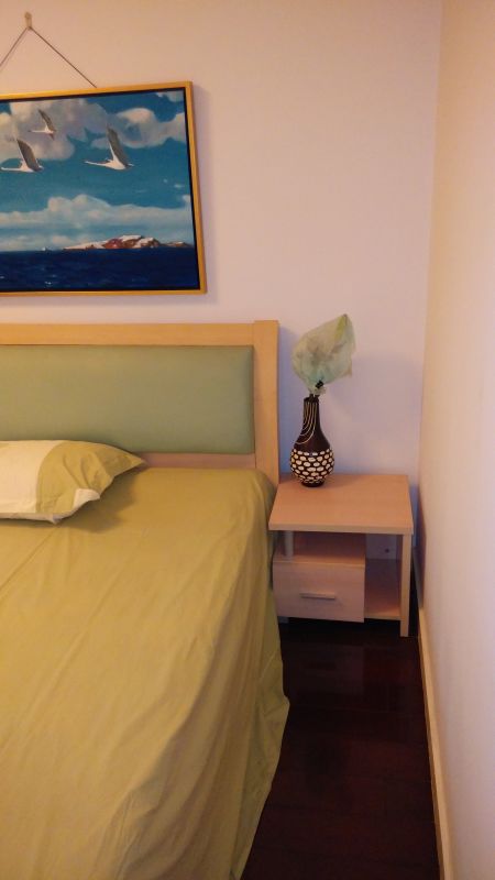 Nanyang Hongqiao Apartment - Interior view 3, Shanghai rental property