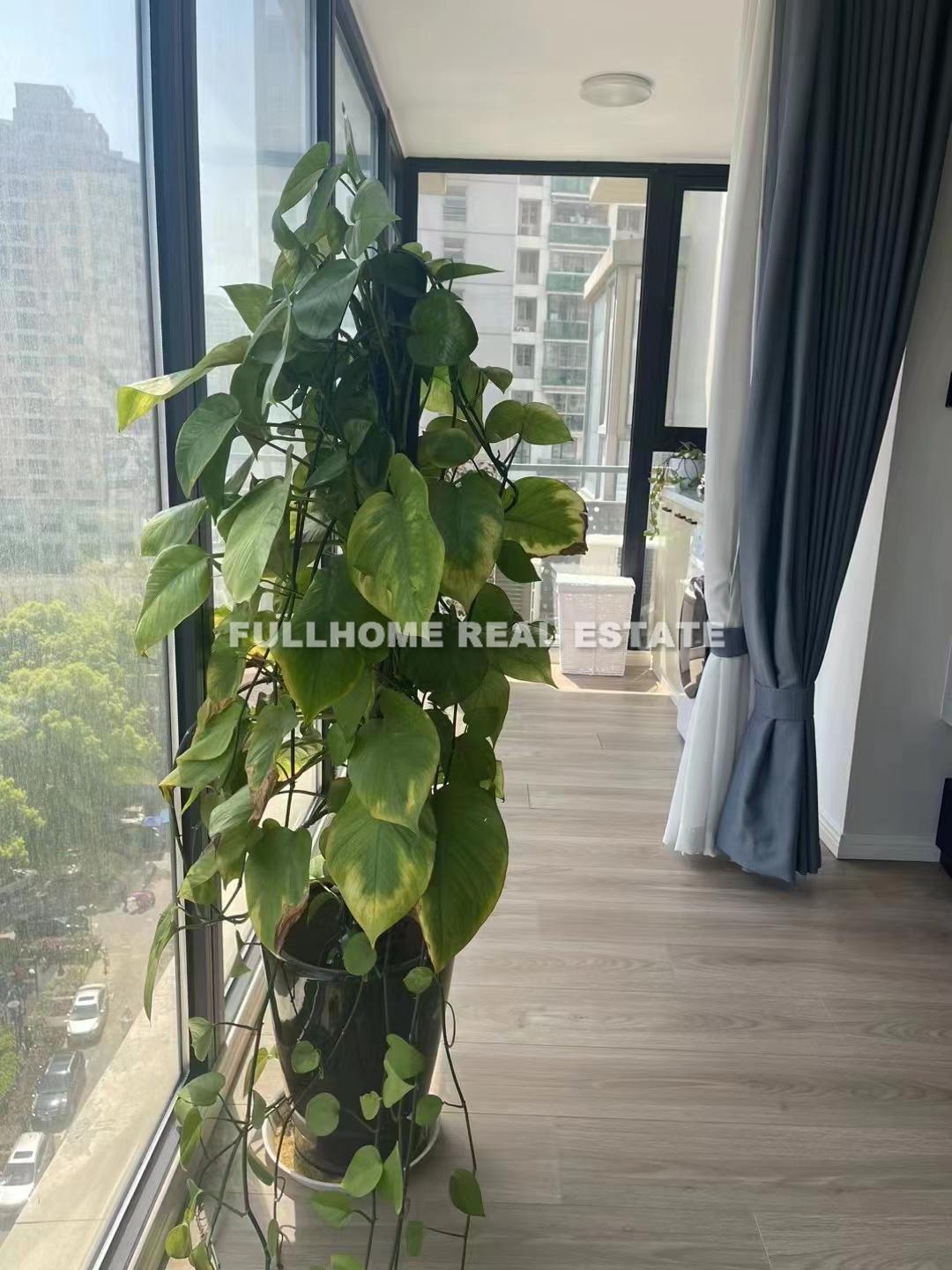 Dong Hai Garden - Interior view 2, Shanghai rental property