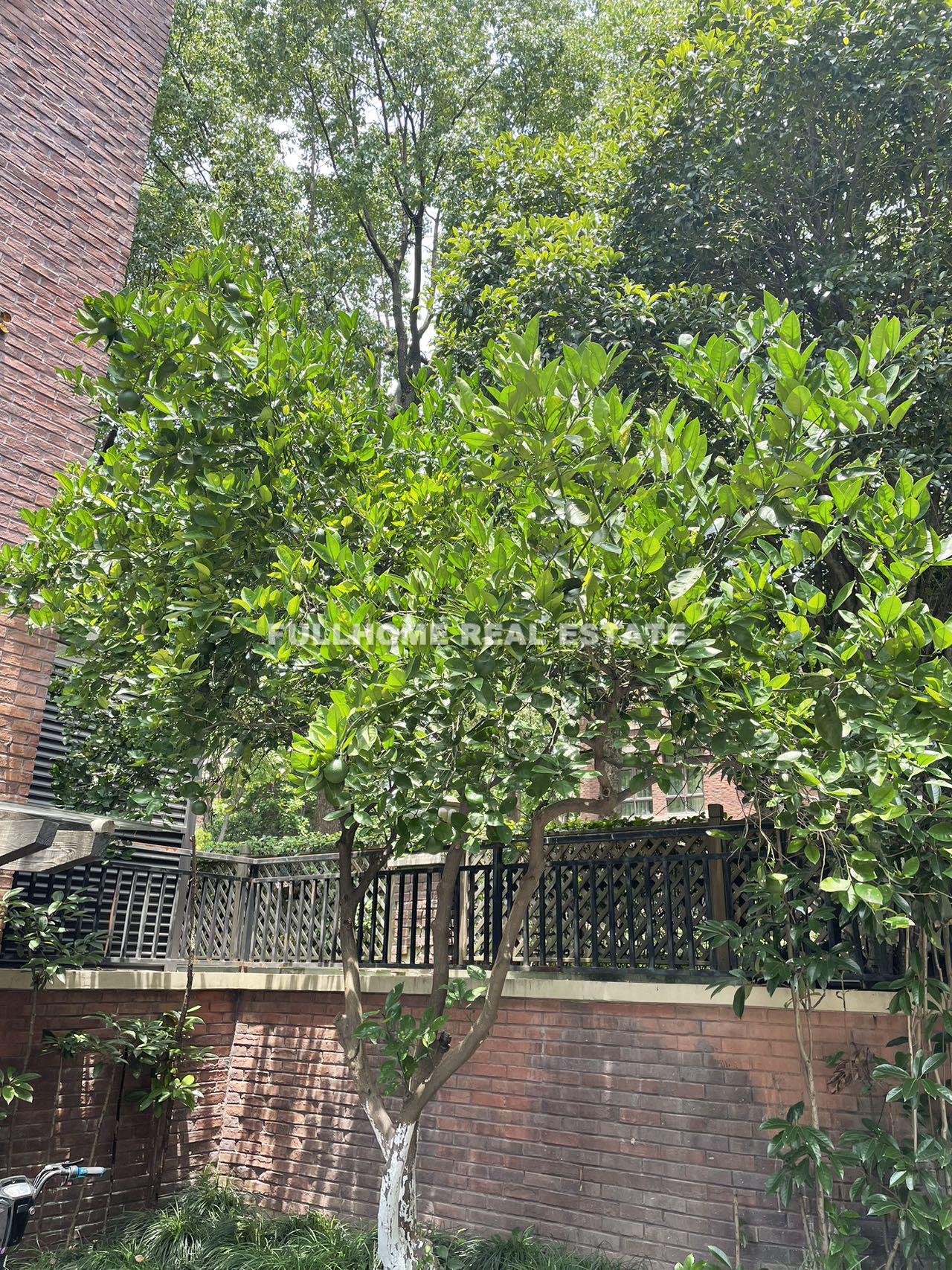 Rose Valley - Interior view 25, Shanghai rental property