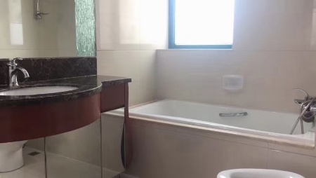Regents Park - Interior view 5, Shanghai rental property