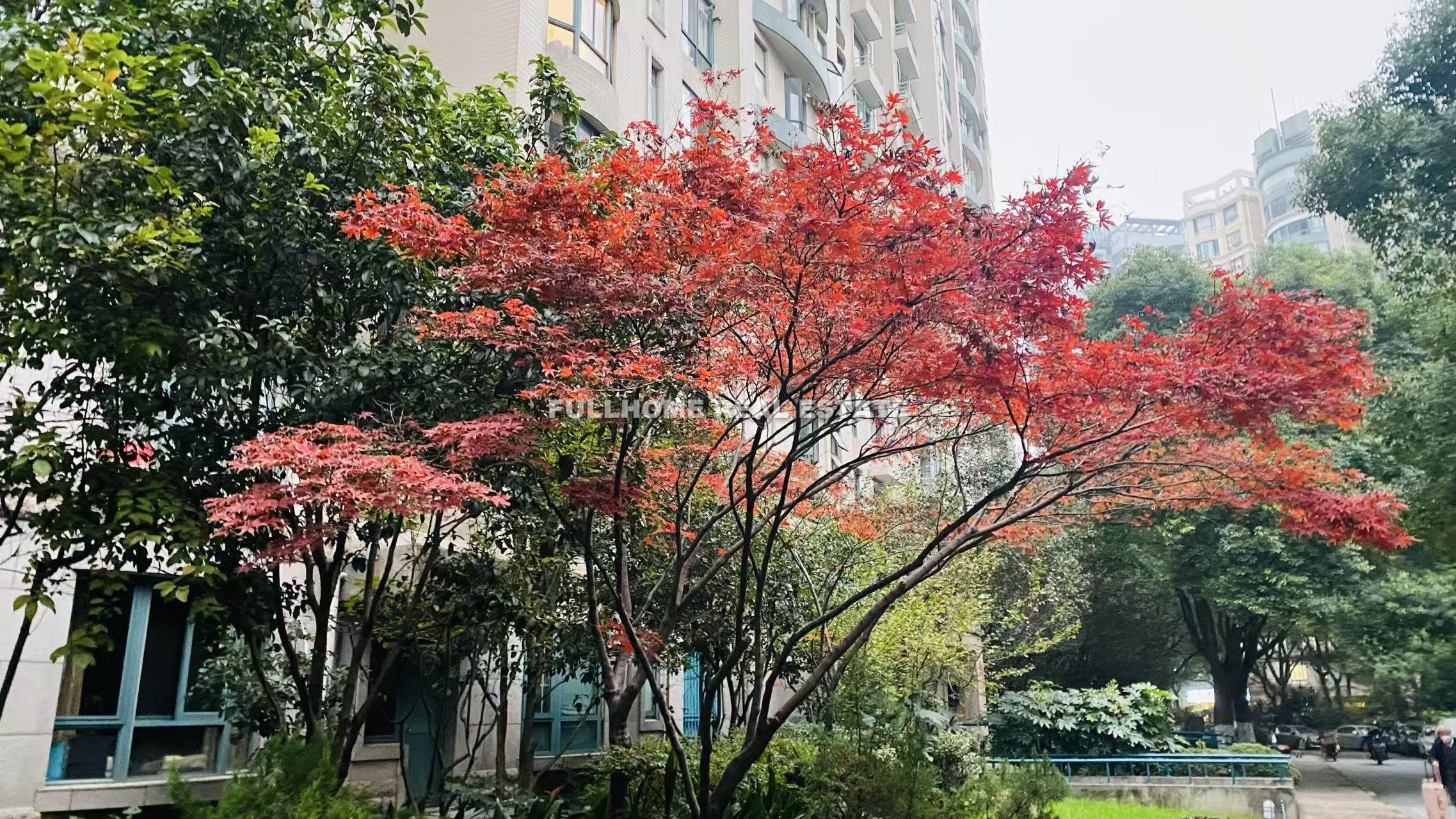 Da An Garden - Interior view 14, Shanghai rental property