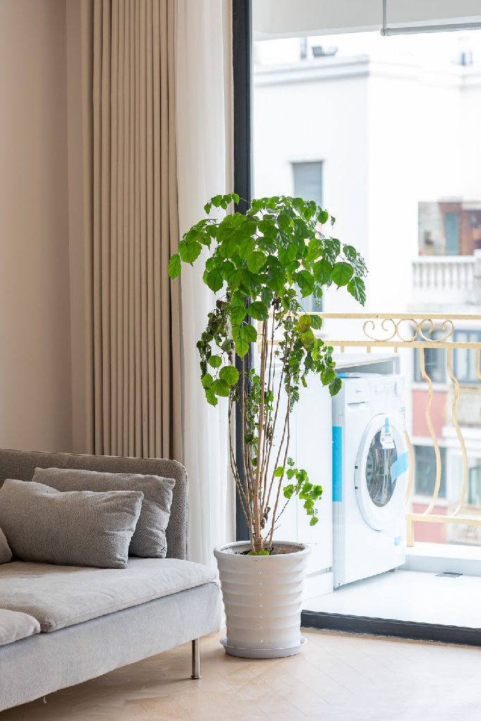 Changde Mingyuan - Interior view 5, Shanghai rental property